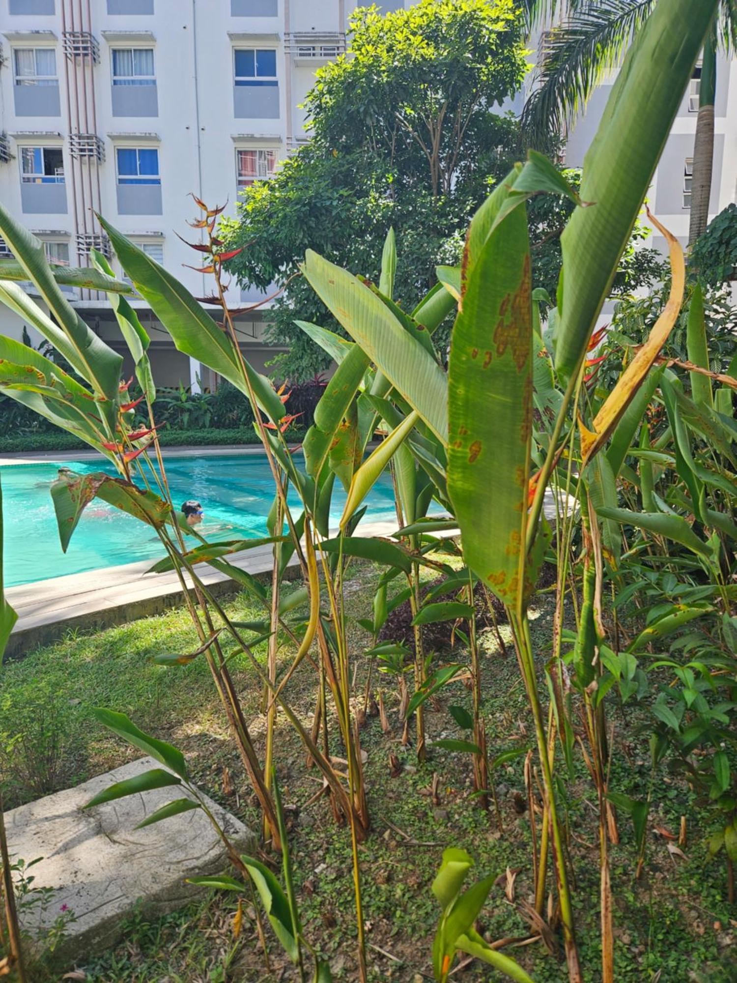 2-Bedroom Boutique City Condo - Newly Renovated! Cebu ภายนอก รูปภาพ