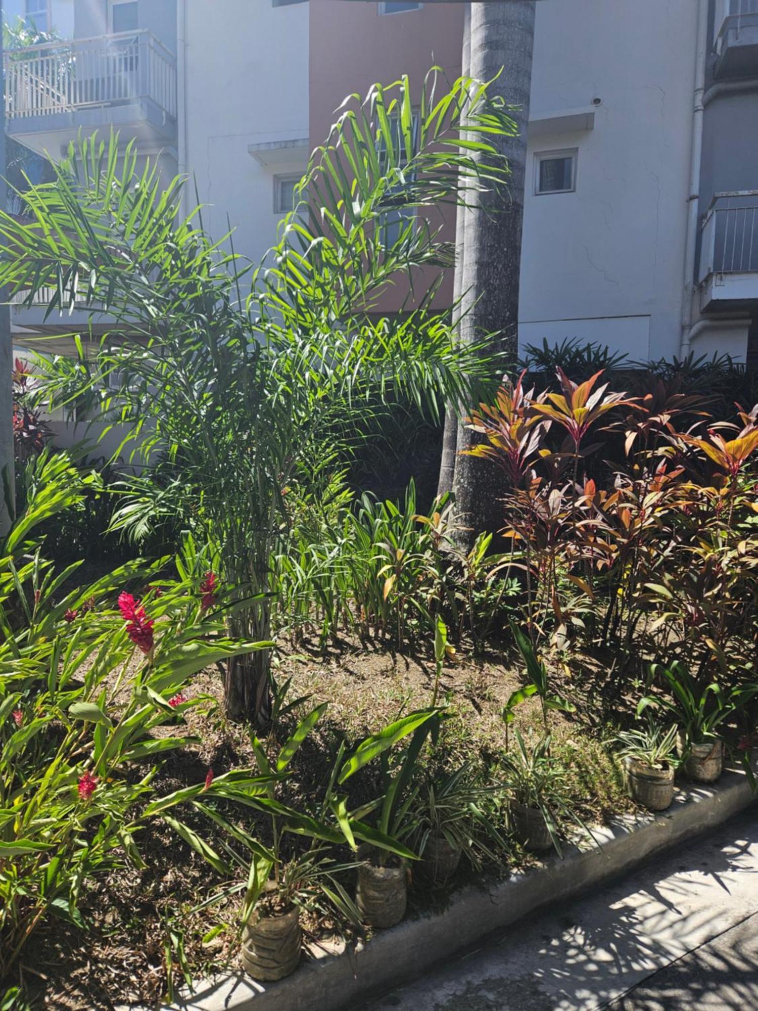 2-Bedroom Boutique City Condo - Newly Renovated! Cebu ภายนอก รูปภาพ